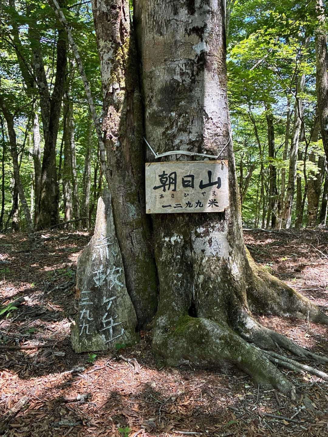 こちらの稜線には赤鞍ケ岳がもう一つあるので
朝日山というそうです。