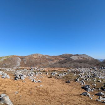 カレンフェルト