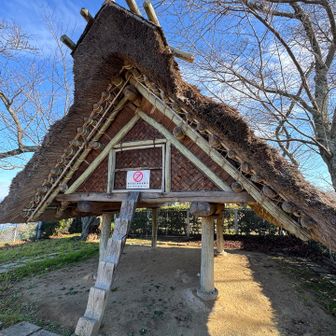 昔の人の知恵はスゴいですね🏠