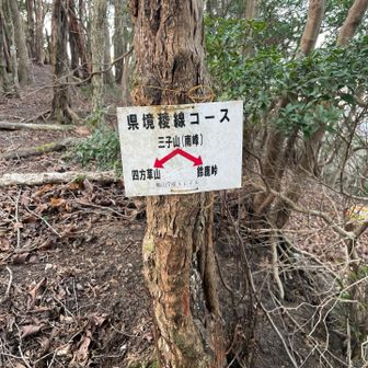 三子山南峰（Ⅲ峰）ピーク