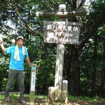 💁🏻‍♂️今日は自分的に湿度が高過ぎて汗が💦そんな関八州見晴台(771.1m)にて‼︎