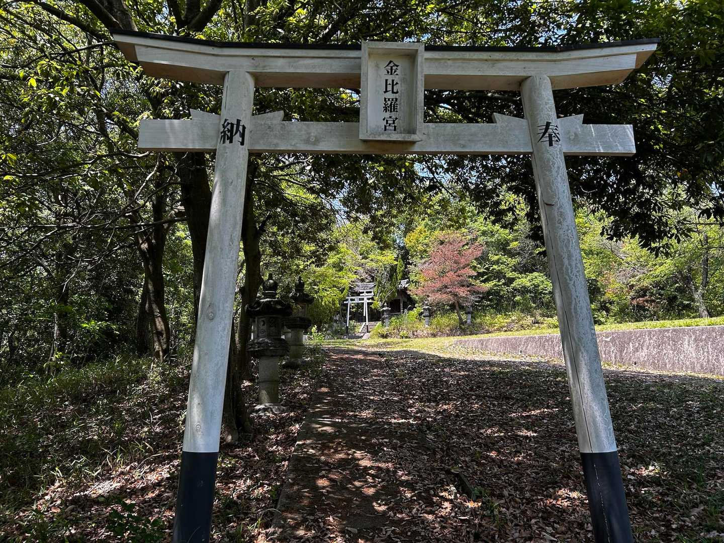 秩父山 往復コースの写真
