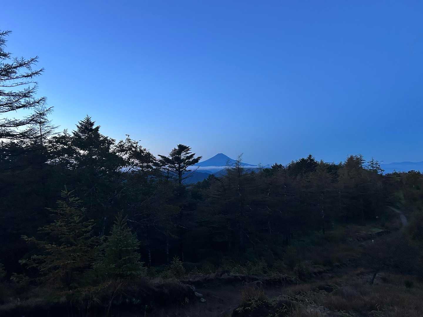 富士山発見