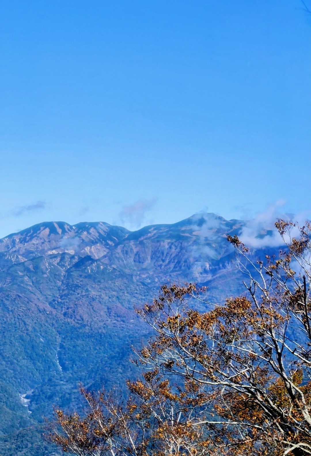 小原峠を過ぎたら…
ドロドロぬかるみ登山道の始まり😰
帰りどうなるん、、て心配しながら滑らんように最大の注意を払って登っていく

ご褒美✨用意されていました
(＊´ ω｀＊)
白山や別山が見えるんです
でも歩きながら写真を撮ったら危険すぎる道😥