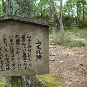 連続する小谷城としては最後になるようです。