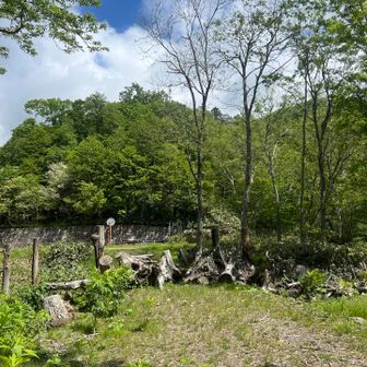 おや？道路にでたよ？
(北尾根コース入り口)

まちがえました〜笑笑