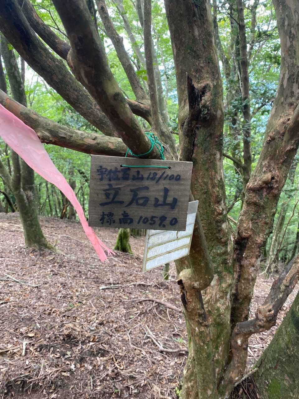 山頂😍
立石山山頂二ヶ所有りました😍
こちらの方が低い😅