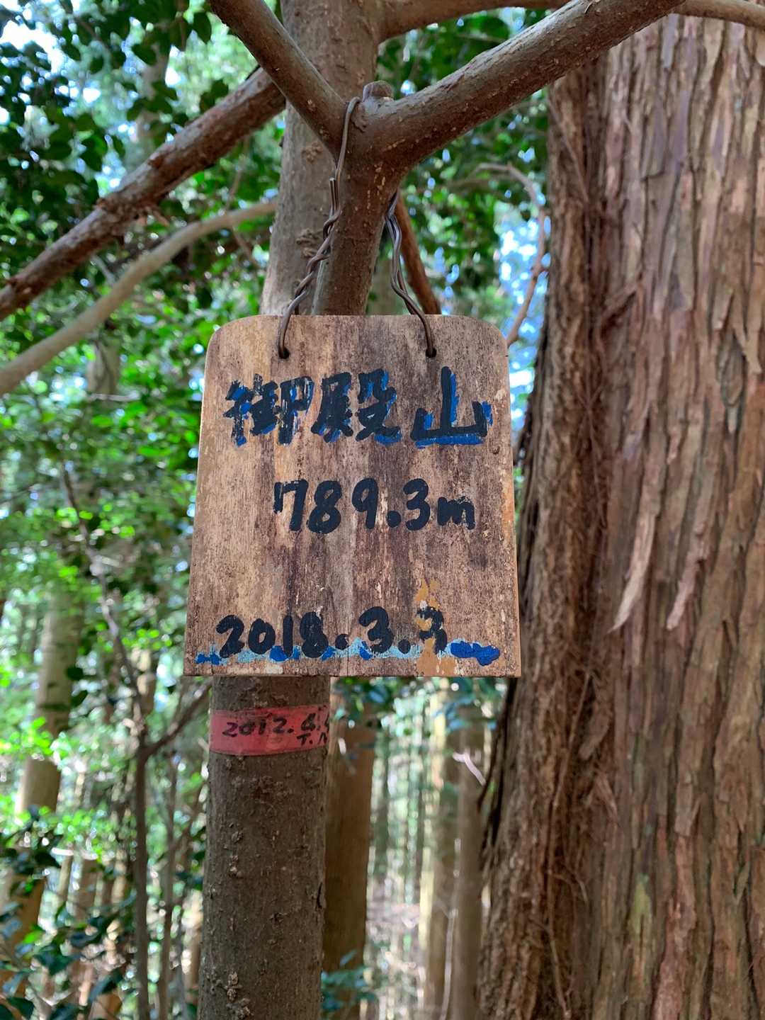 山頂　展望はありません