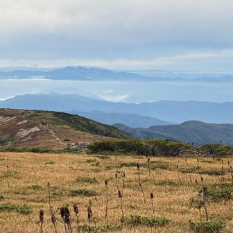 薬師平からの白山。