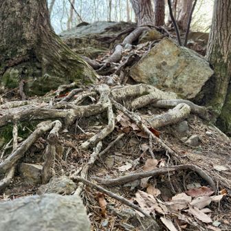 足元悪いので慎重に…