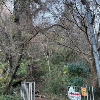 くさかコース登山口。