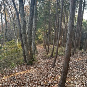 さあ下山しよう