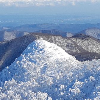 やまんごーさーん
お話出来て良かったです