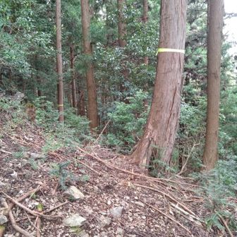 山頂から少し下り、左へトラバースする地点