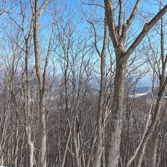 何も見えんです