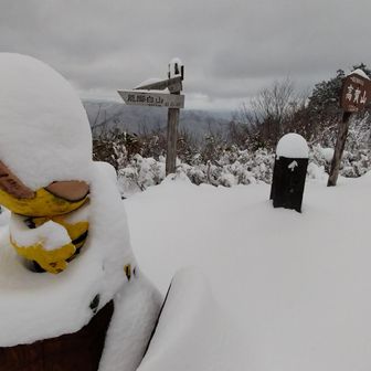 なんか黄色いのがある🙈