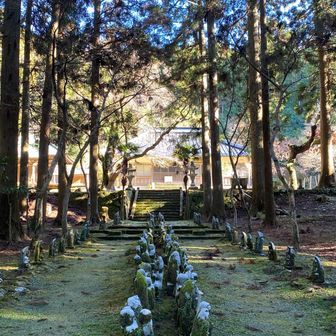 ここのお山は歩いていて　すごく気分が良かったです。おじゃましました！