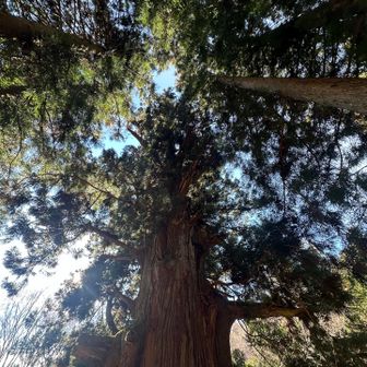 精一杯生きてみよう！

そろそろ　次の会社に　
チャレンジも良いかなぁ〜