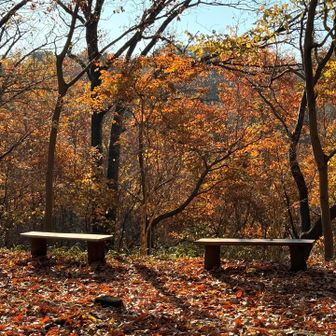 映えるベンチ🪑