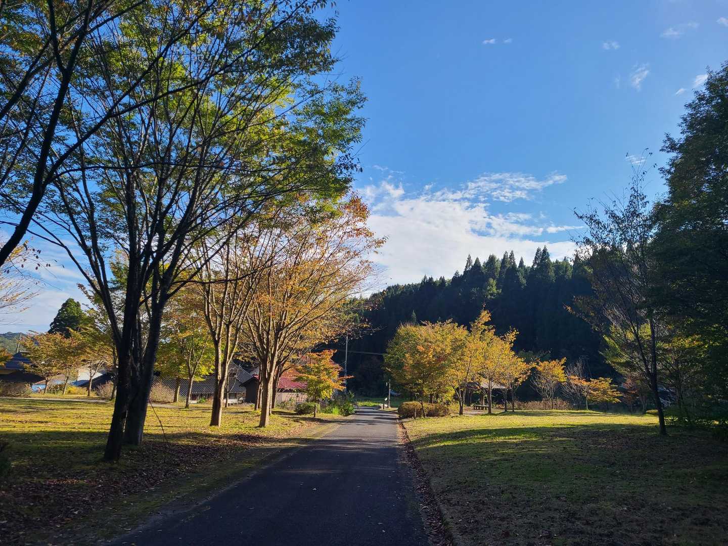登山口に帰って来ました。