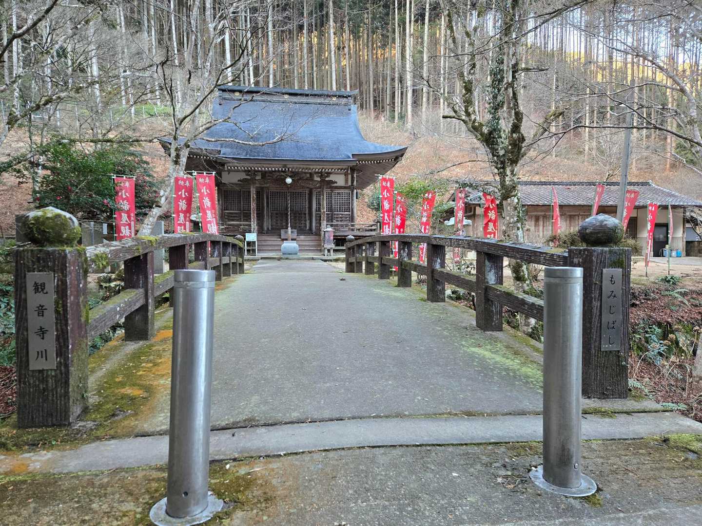 小新屋観音本堂
参拝してから登りました😊