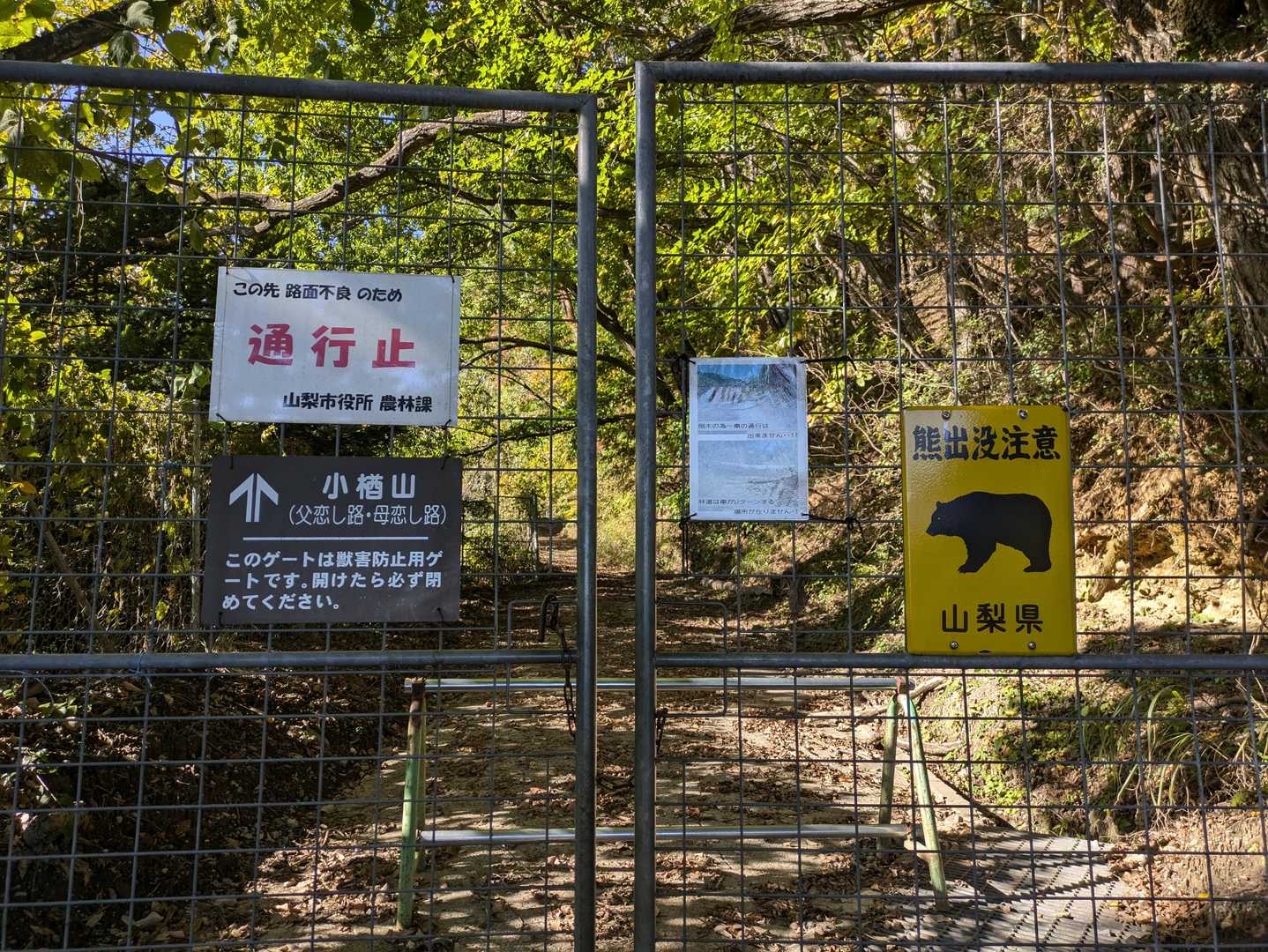 では行ってみよう。