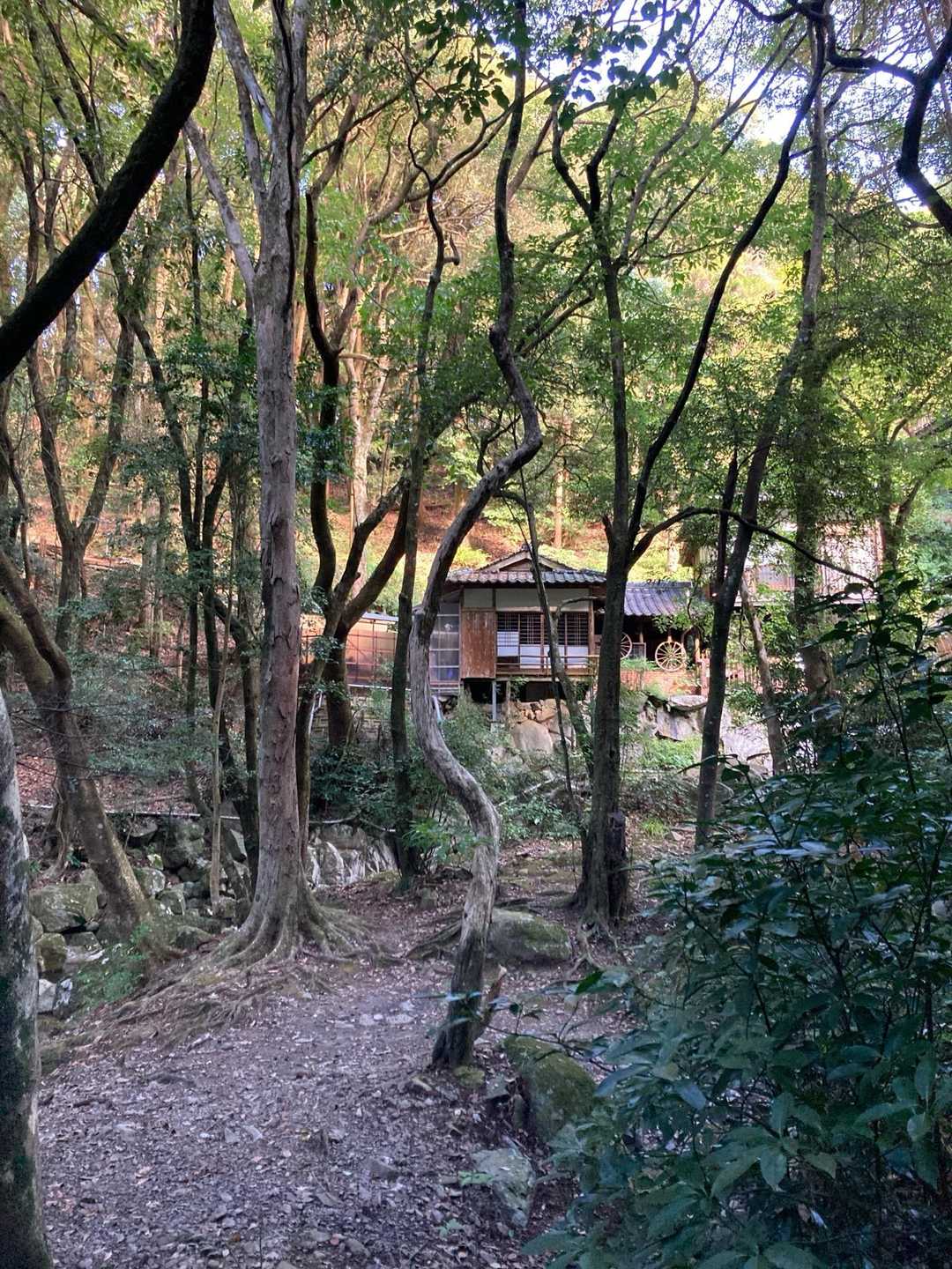 竜王峡キャンプ村から▶️