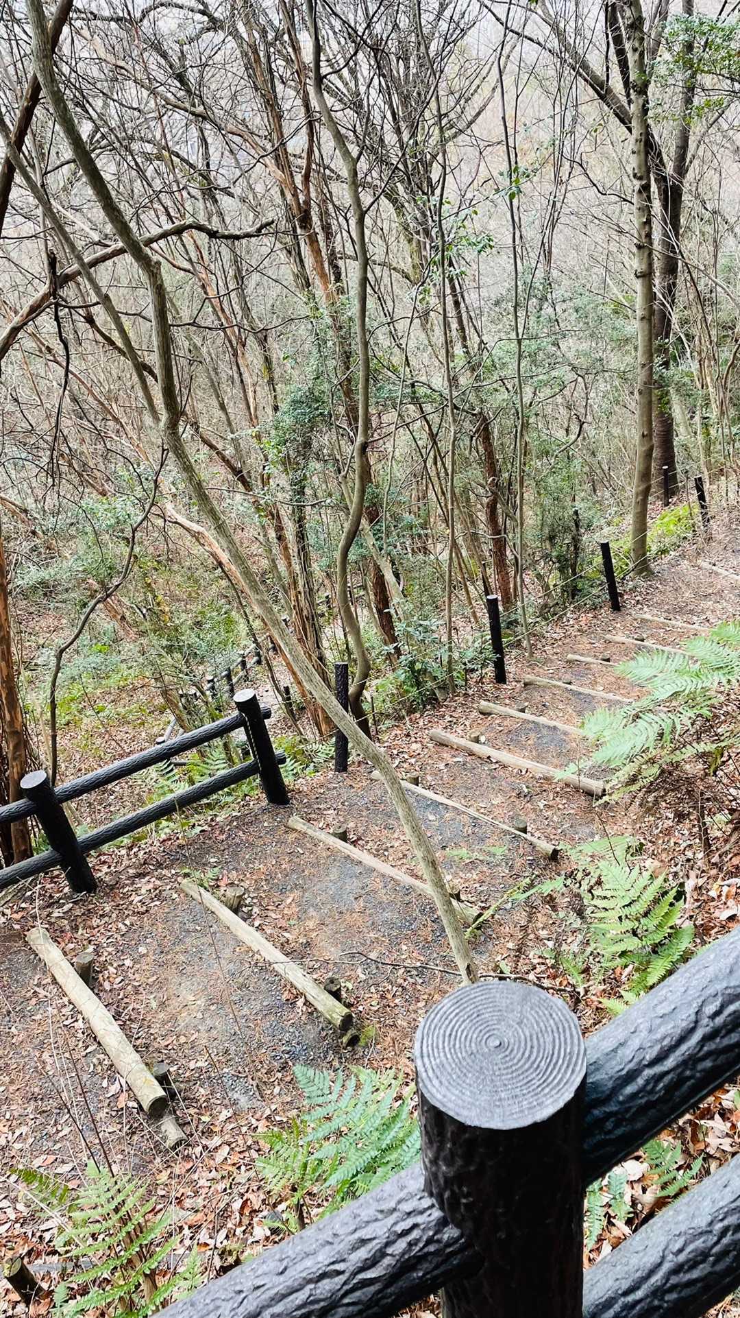 さ、下山
