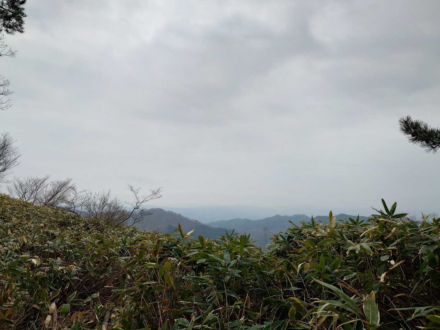 東登山口-星山 往復コースの写真
