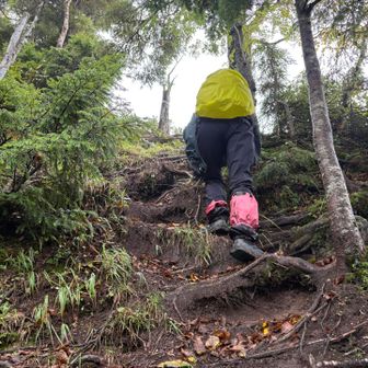 本日最後のピーク金精山に向けて、凄く頑張る💪凄く頑張らないと登れないくらい足が重くなって来ています。