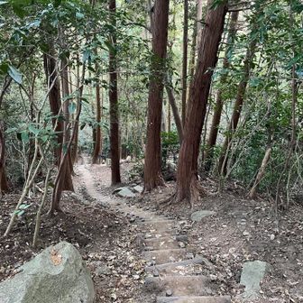 急階段を慎重に。