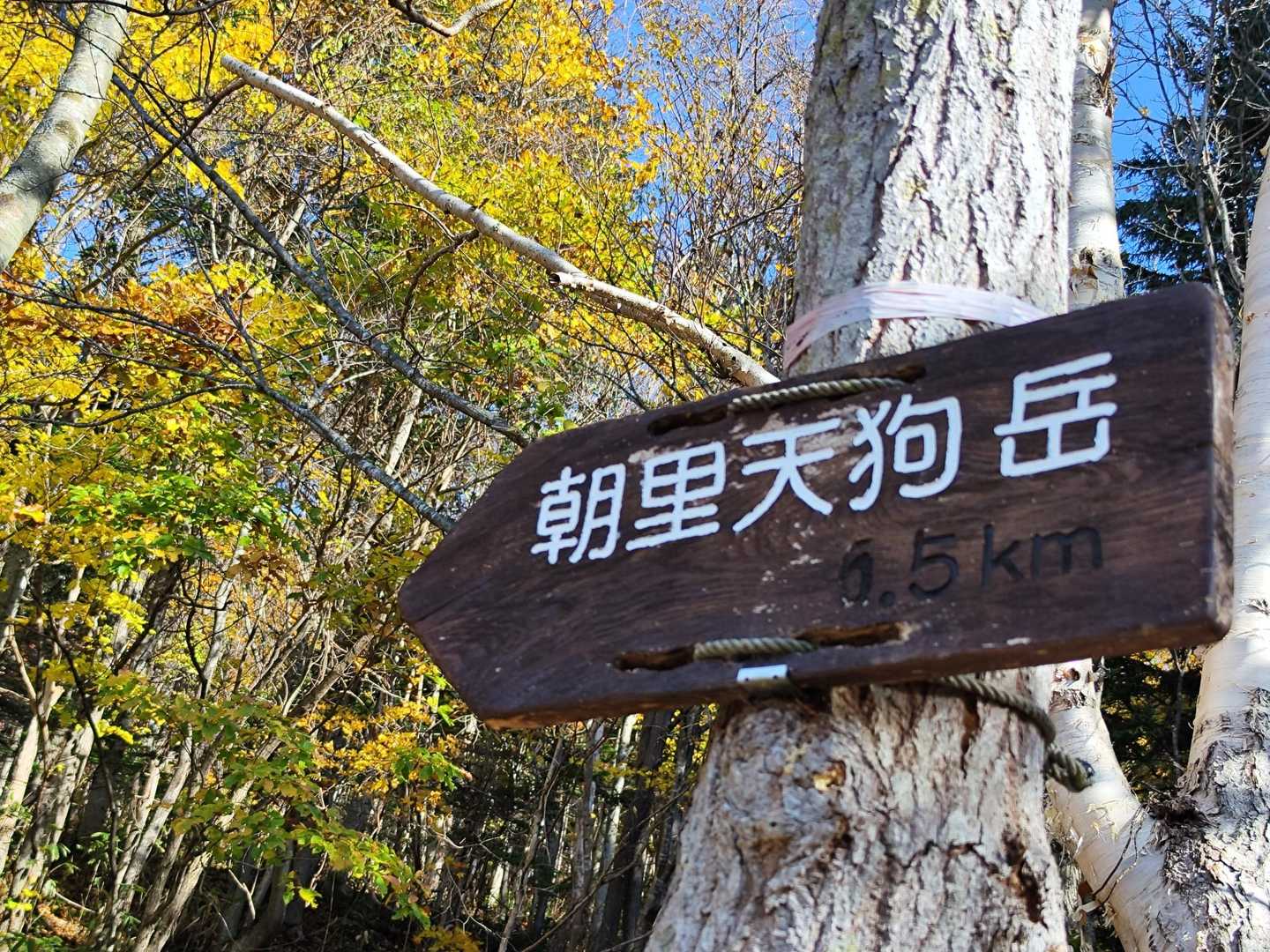 登山口に来ました
おかわり山歩始めるよー🥳🚩