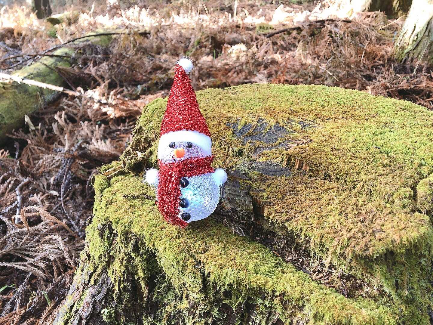 谷ヶ山（525m）の山頂に到着！