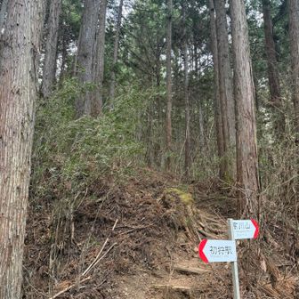 今日は誰もまだ通りません
静かぁ〜…にスタートしました
ひとりじゃなくてよかった