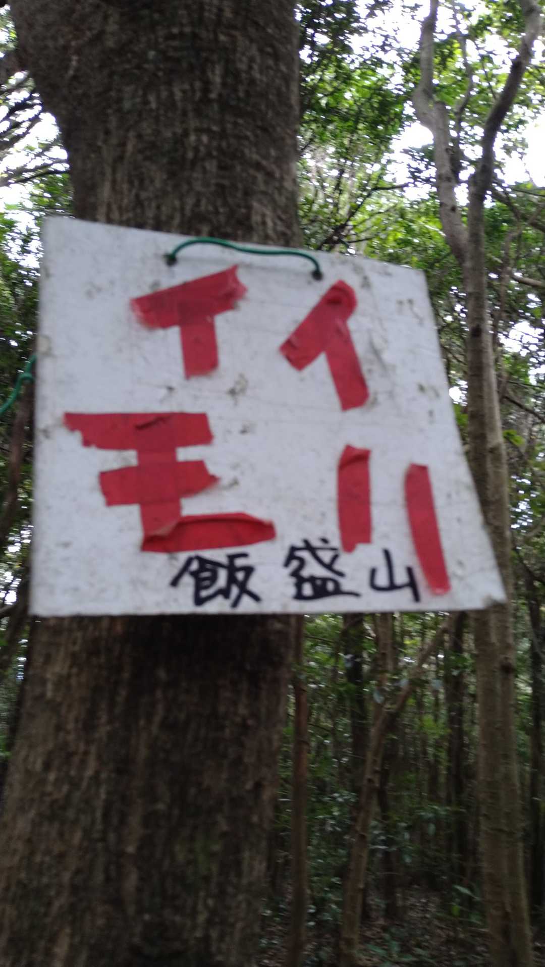 あっ、到着したんだ‼️ここ、展望ありません😢