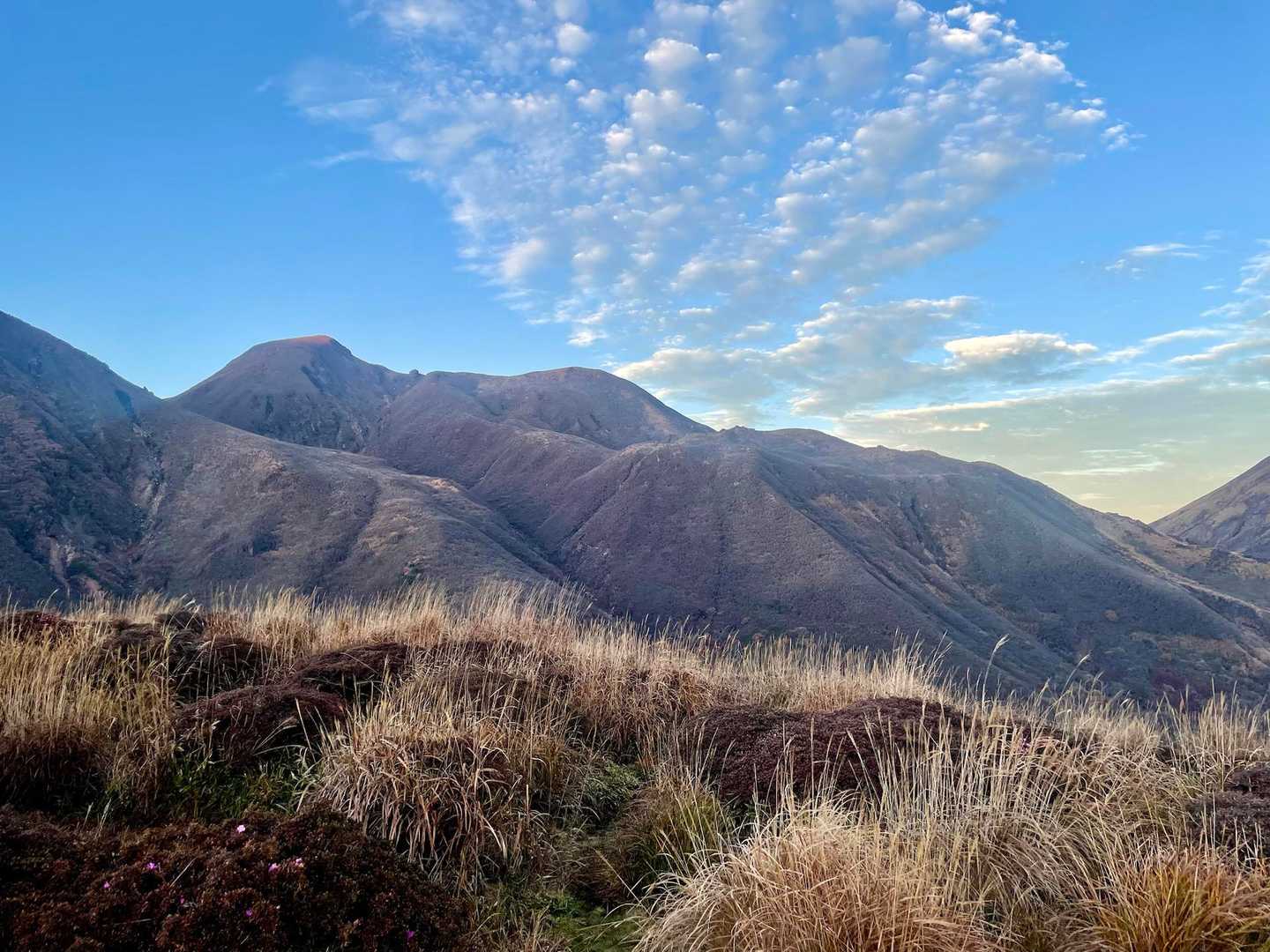 鉾立峠-立中山 往復コースの写真