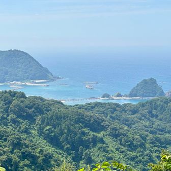 そして見晴らしが良い池ノ台に到着🙌
左が三瀬葉山 右が由良の白山島 
白山島に架かる赤い橋も見えますよ！