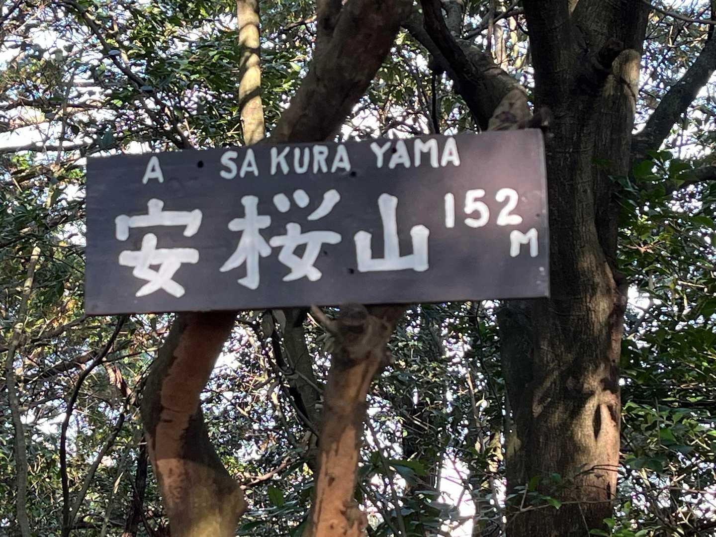 安桜山 往復コースの写真