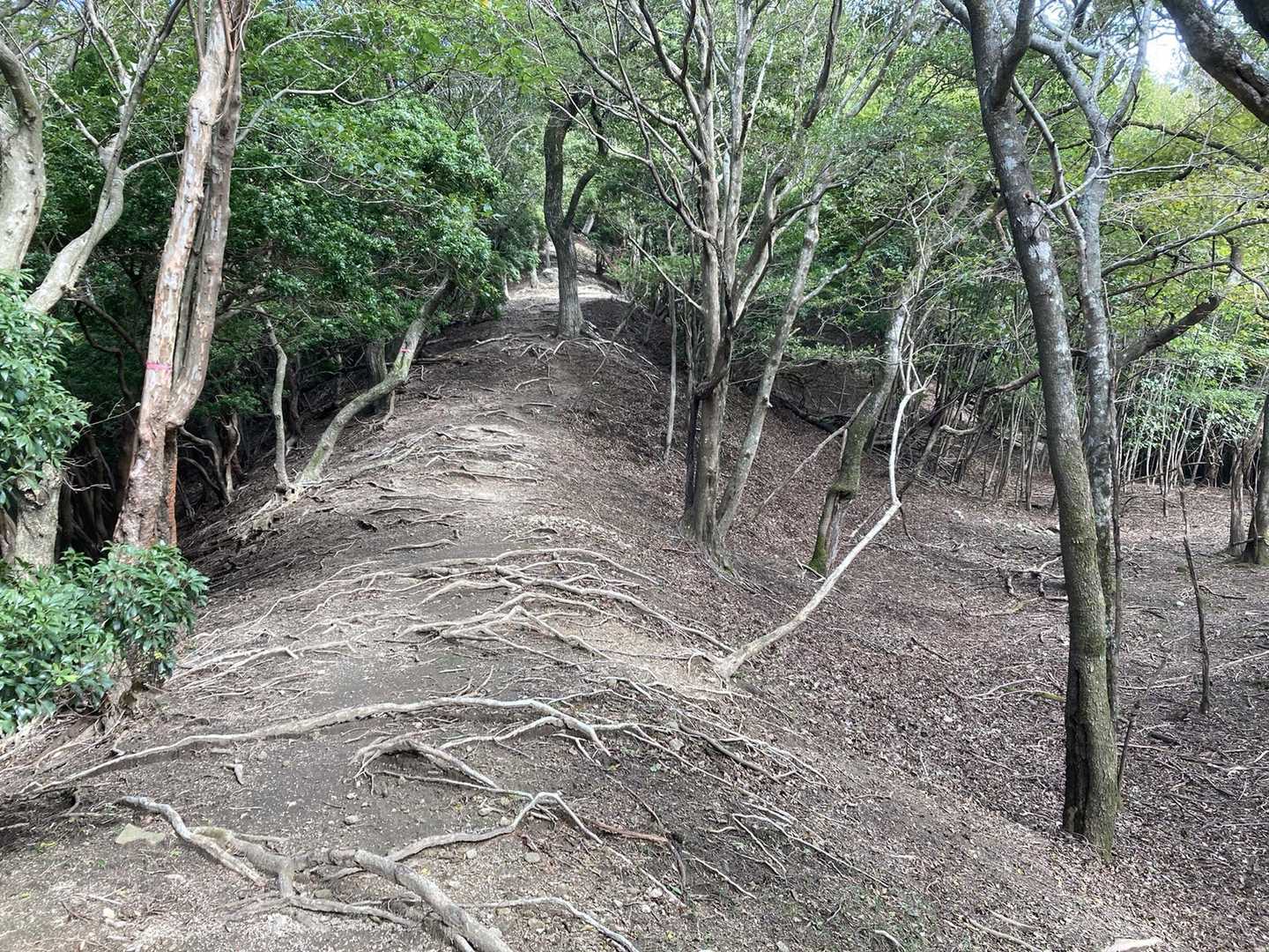 経ヶ峰 往復コースの写真