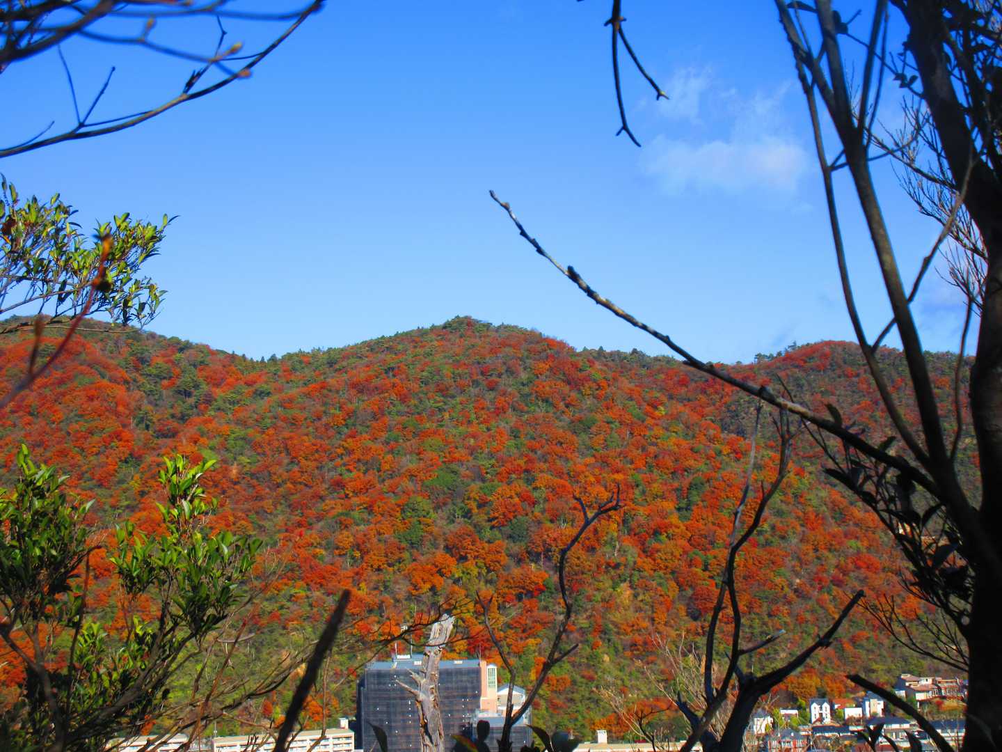 樫ヶ峰-社家郷山-行者山-行者山ハイキングコース西逆瀬台口 縦走コースの写真