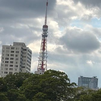拡大📸🗼