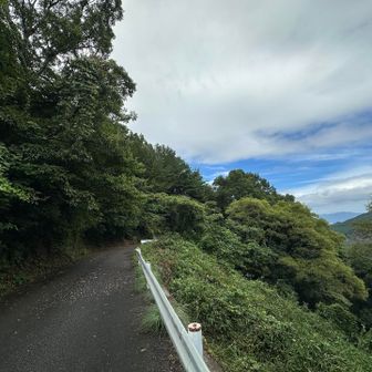 さぁ〜  林道歩き…🚶🏼‍♀️