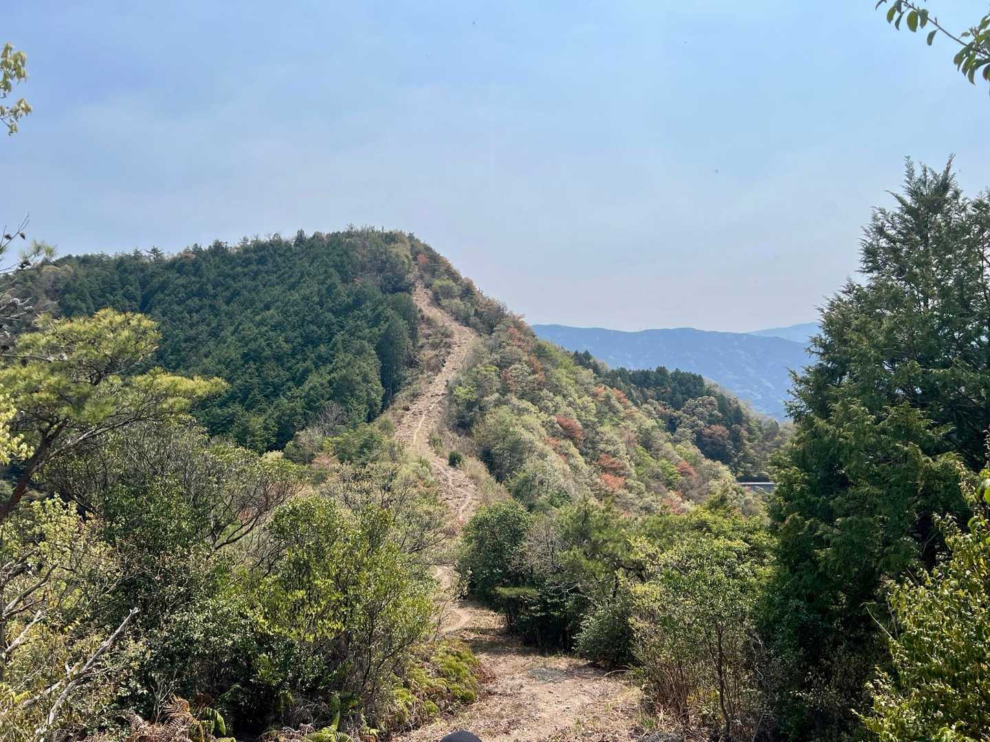 次の峰に向かうが…
こんなにハッキリ登りの登山道が見えるのも
どうだろう〜