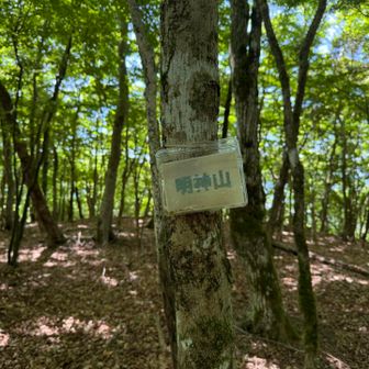 山頂標識