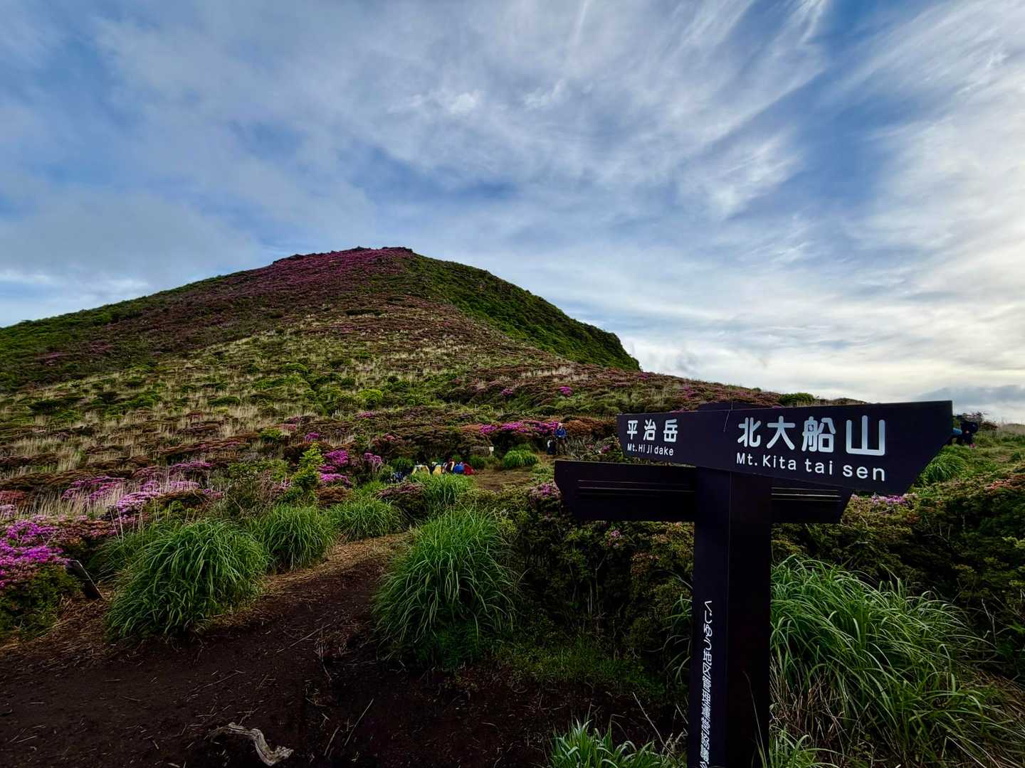 黒土のドロドロ道を抜けて大戸越に出ました
この辺のミヤマキリシマは半分ぐらい終わっている感じ