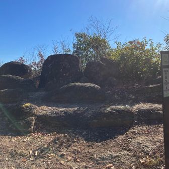 神社から少し行ったら山頂です