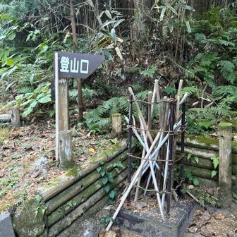 白島登山口には杖あります。
白島コースも黒島コースも一気に登るので
低山とはいえ、しっかり登りますよ💪