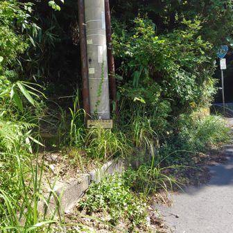 摩尼山登山口です(⁠　⁠･⁠ω⁠･⁠)⁠
奥は広いが入り口から5mくらいまでがメチャ狭い(⁠ﾉ⁠*⁠0⁠*⁠)⁠ﾉ