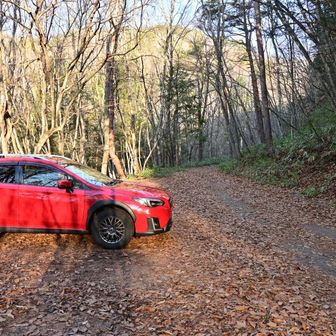 蓮華大橋南駐車場へ行こうとしたら怪しい雰囲気でしたので、白沢登山口へ