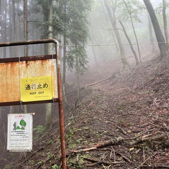 大楢峠に降りる手前、トレースを辿って尾根から林道側のマップ上の立ち入り禁止エリアに降ってしまった。
恐らく林道の先が崩落箇所なのだと思うが、降りた先は峠から数メートルの距離だったので、特に問題はナシ。